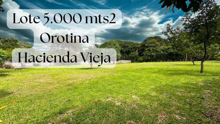 Home in Metric Way