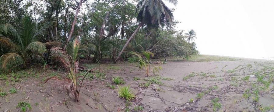 Foto Terreno en Venta en Pococí, Limón - &cent; 80.000.000 - TEV68832 - BienesOnLine