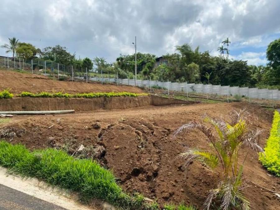 Foto Terreno en Venta en Grecia, Alajuela - U$D 28.500 - TEV31567 - BienesOnLine