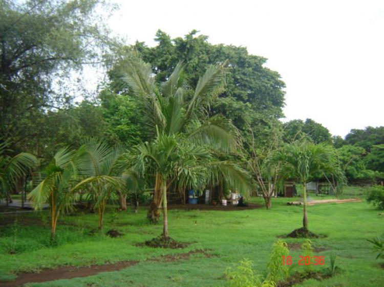 Foto Casa en Venta en san pedro lagunilla, Santa Cruz, Guanacaste - U$D 160 - CAV115 - BienesOnLine