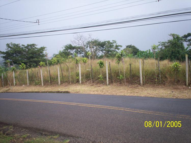 Foto Terreno en Venta en San Ramn, Alajuela - ¢ 160.000.000 - TEV530 - BienesOnLine