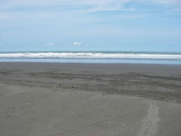 Foto Finca en Venta en Jac, Puntarenas - U$D 2.600.000 - FIV5804 - BienesOnLine