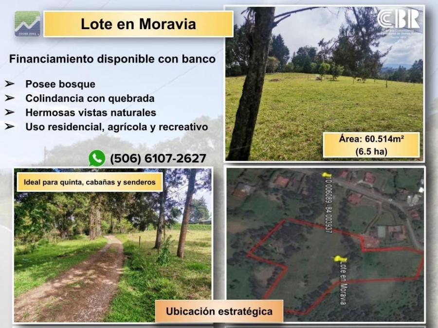 Foto Terreno en Venta en Moravia, San Jos - 1 hectareas - U$D 450.000 - TEV63618 - BienesOnLine
