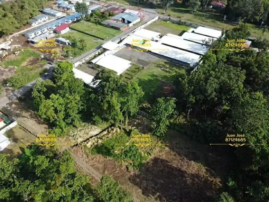 Foto Terreno en Venta en El molino centro atrs de la escuela, El molino jimenez, Limn - ¢ 14.000.000 - TEV41339 - BienesOnLine