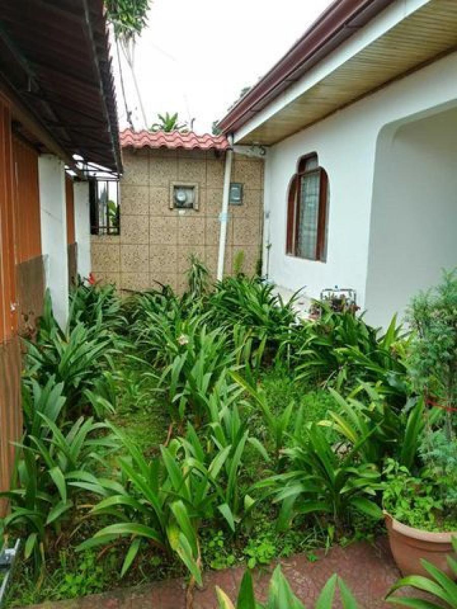 Foto Casa en Alquiler en Tarraz, San Jos - ¢ 525.000 - CAA61419 - BienesOnLine