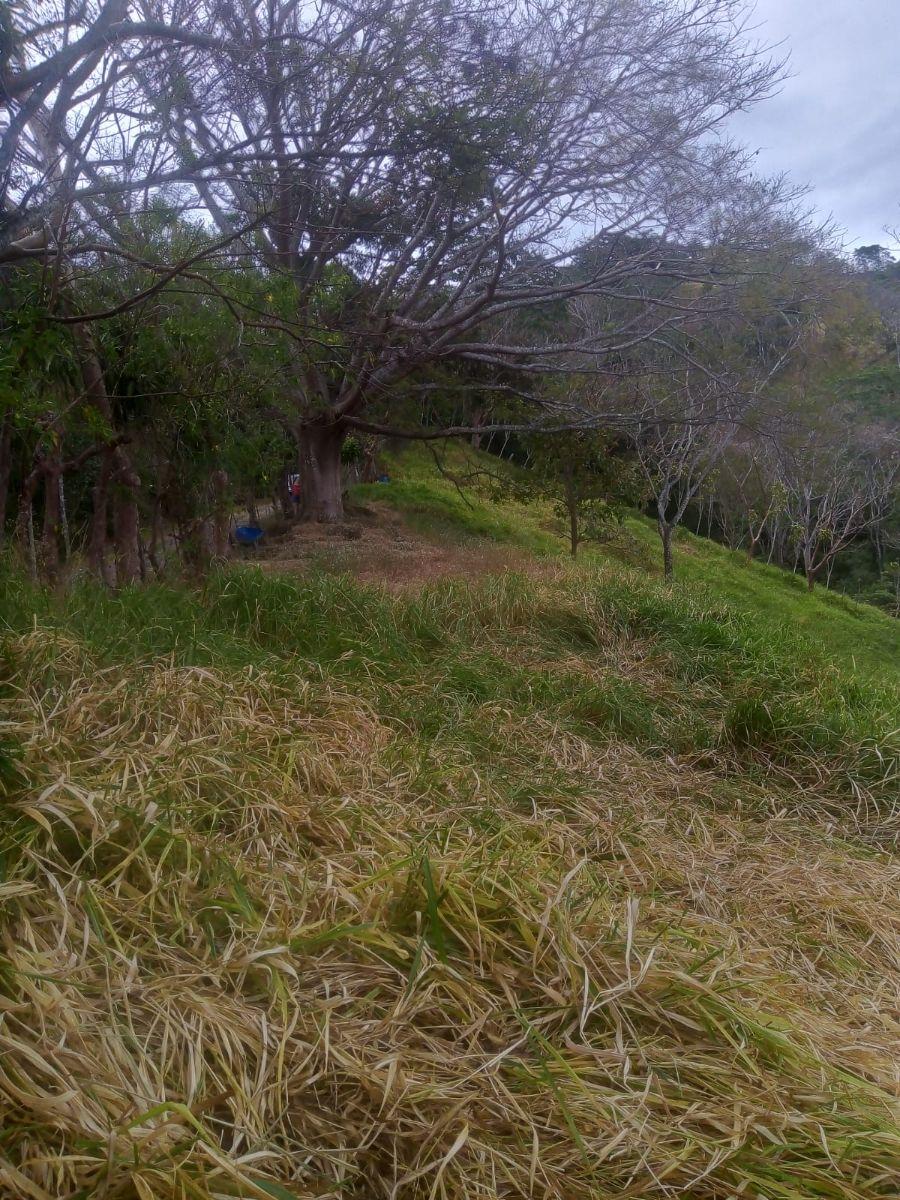 Foto Finca en Venta en Desmonte, San Mateo, Alajuela - 1 hectareas - ¢ 50.000.000 - FIV93342 - BienesOnLine