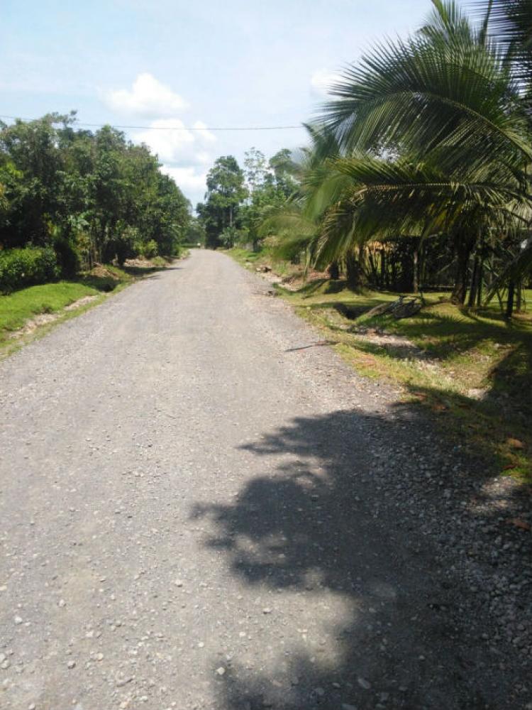 Home in Metric Way