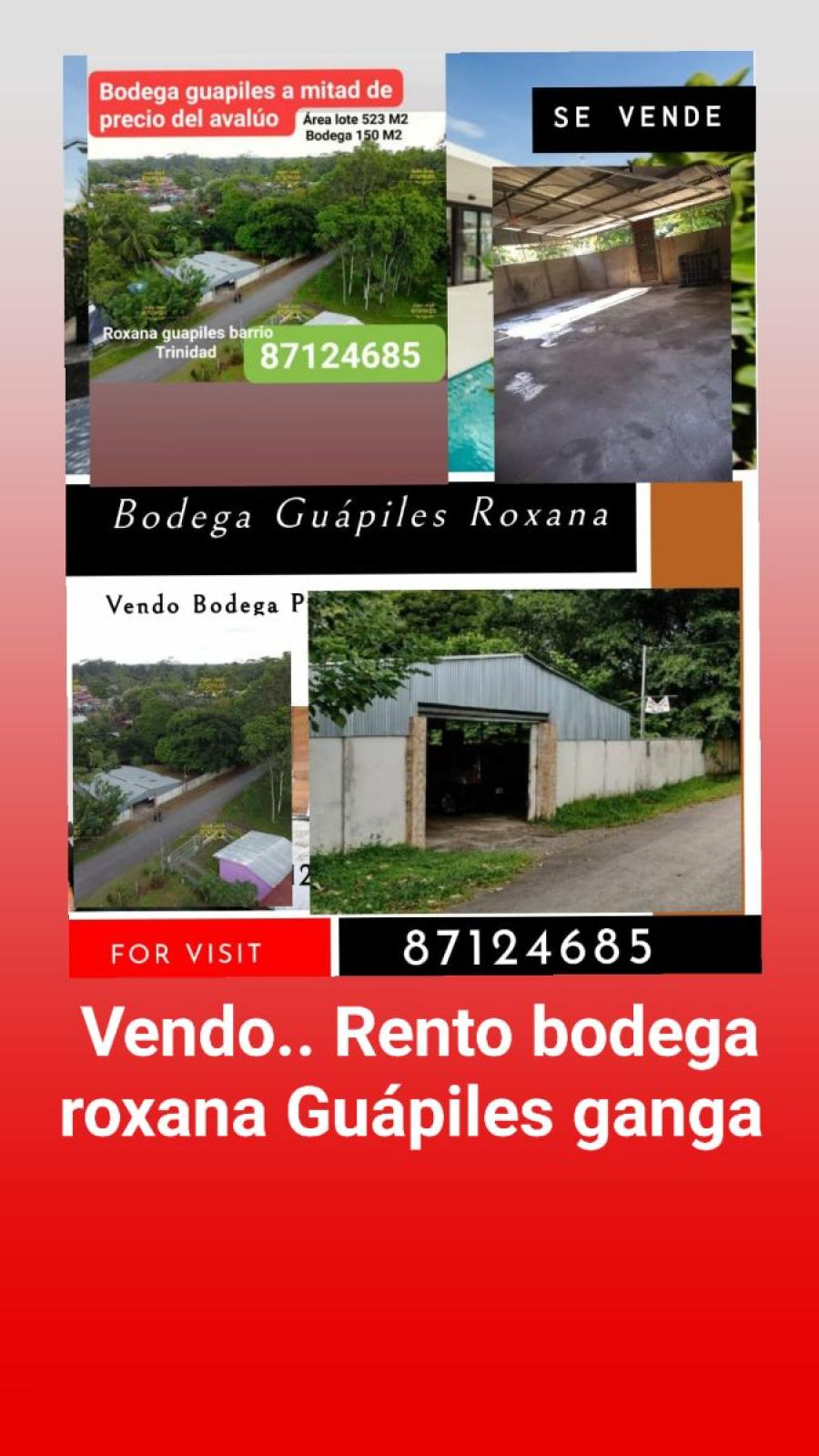 Foto Bodega en Venta en Gupiles, Limn - ¢ 15.000.000 - BOV41271 - BienesOnLine