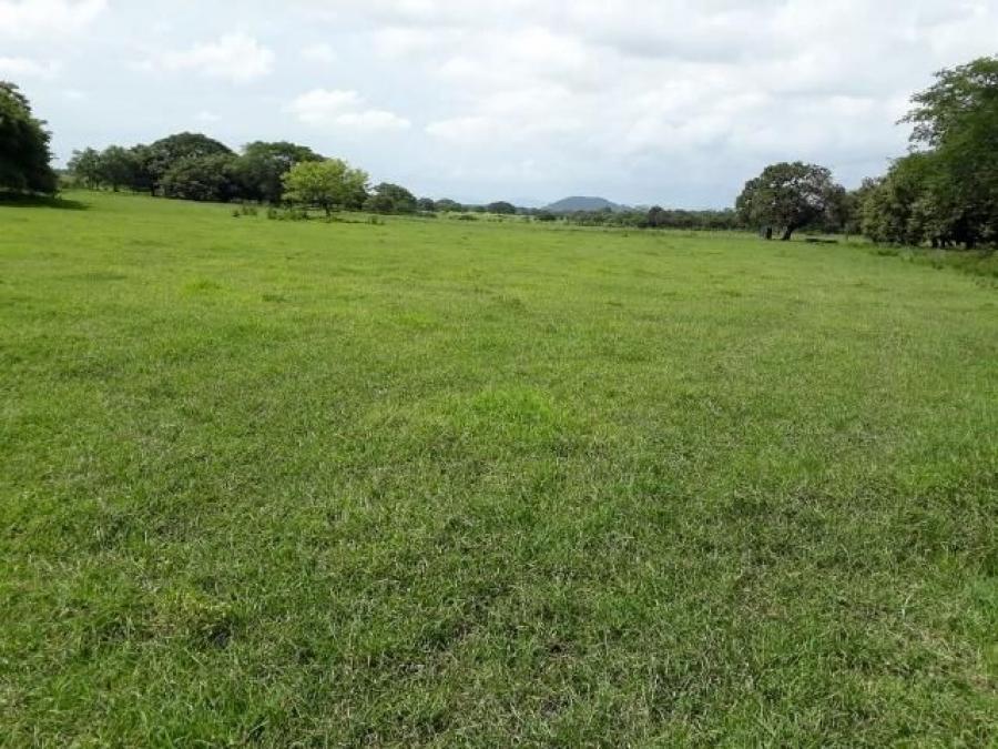 Foto Finca en Venta en San Blas, Carrillo, Guanacaste - 48 hectareas - U$D 1.000.000 - FIV66217 - BienesOnLine