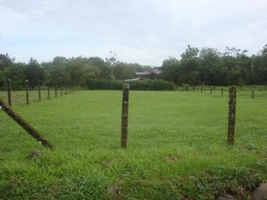 Foto Terreno en Venta en Guapiles, Pococ, Limn - ¢ 80.000.000 - TEV31526 - BienesOnLine