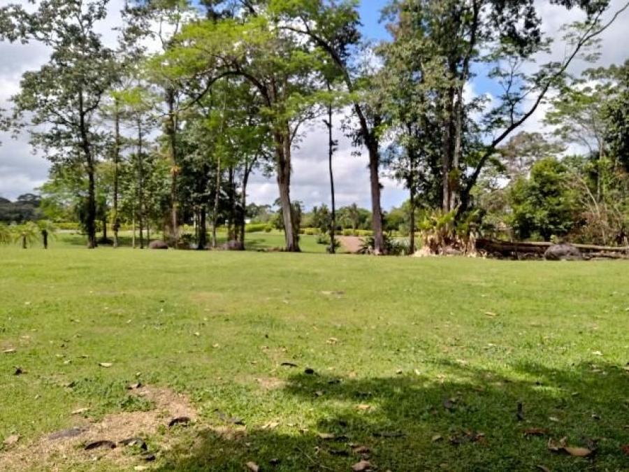 Foto Terreno en Venta en Guapiles, Pococ, Limn - ¢ 79.000.000 - TEV33398 - BienesOnLine