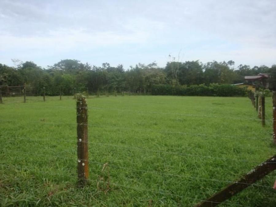 Foto Terreno en Venta en Guapiles, Pococ, Limn - ¢ 26.000.000 - TEV33162 - BienesOnLine