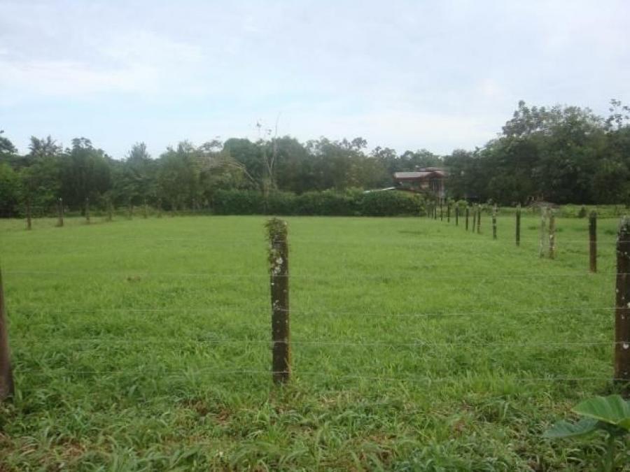 Foto Terreno en Venta en Guapiles, Pococ, Limn - U$D 45.000 - TEV28317 - BienesOnLine