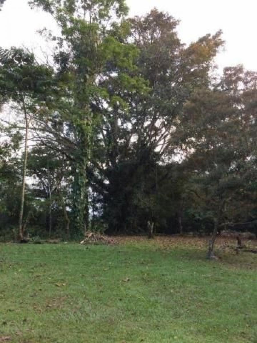 Foto Terreno en Venta en Guapiles, Pococ, Limn - ¢ 70.000.000 - TEV31524 - BienesOnLine