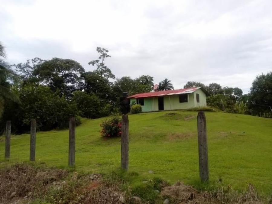 Foto Casa en Venta en Guapiles, Pococ, Limn - ¢ 78.000.000 - CAV30667 - BienesOnLine