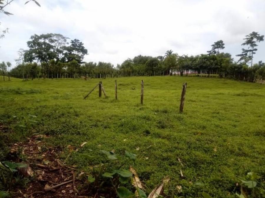 Foto Terreno en Venta en Guapiles, Pococ, Limn - U$D 80.000.000 - TEV31527 - BienesOnLine