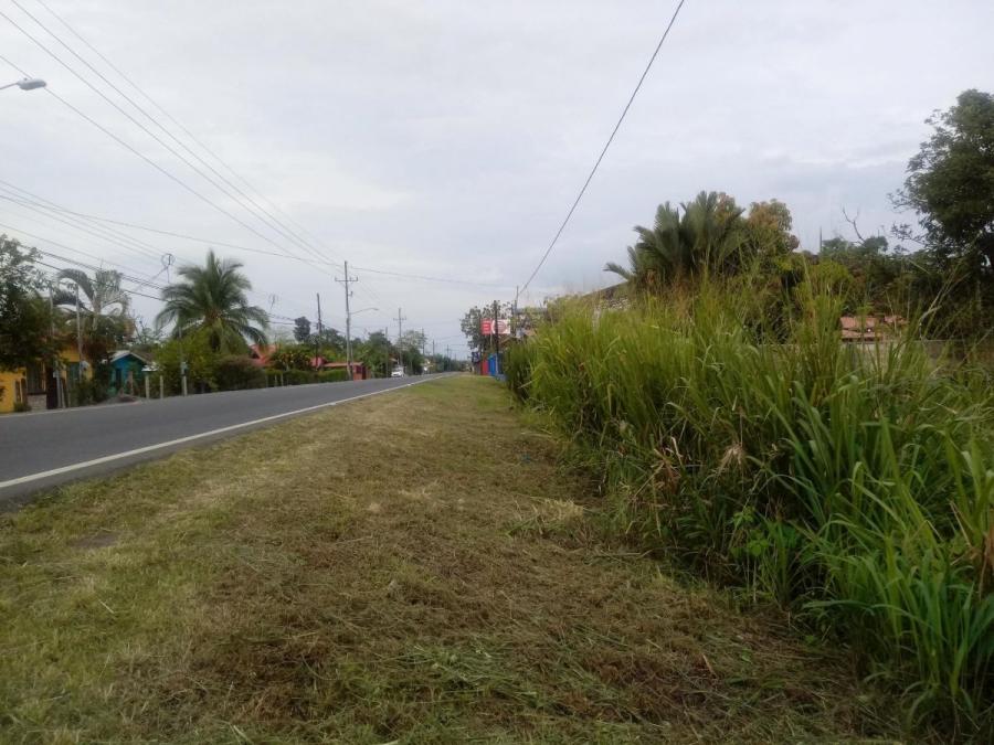 Foto Terreno en Venta en Guapiles, Pococ, Limn - ¢ 6.300.000 - TEV33118 - BienesOnLine