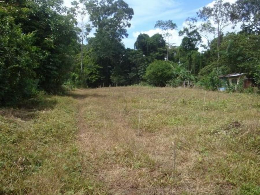 Foto Terreno en Venta en PocoJimenez, Pococ, Limn - ¢ 36.500.000 - TEV37104 - BienesOnLine