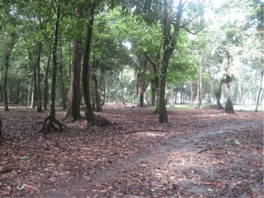 Foto Terreno en Venta en Guapiles, Pococ, Limn - U$D 780.000 - TEV30330 - BienesOnLine