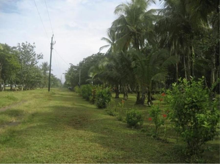 Foto Terreno en Venta en Guapiles, Pococ, Limn - U$D 780.000 - TEV29320 - BienesOnLine