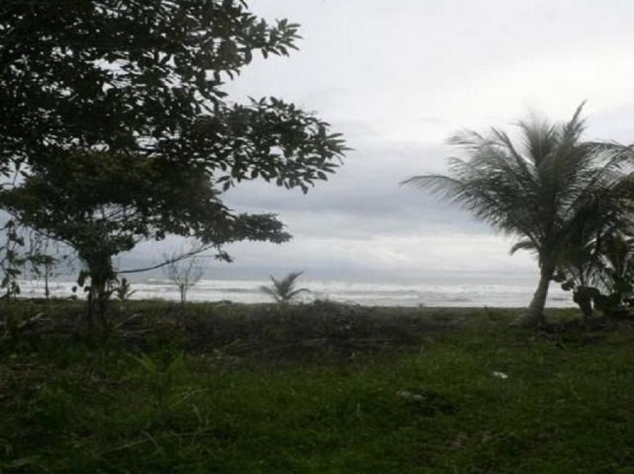 Foto Terreno en Venta en Guapiles, Pococ, Limn - ¢ 470.000.000 - TEV32655 - BienesOnLine