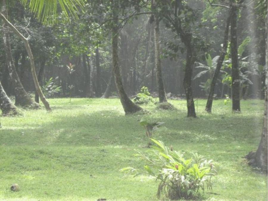 Foto Terreno en Venta en Guapiles, Pococ, Limn - ¢ 565.000.000 - TEV33716 - BienesOnLine