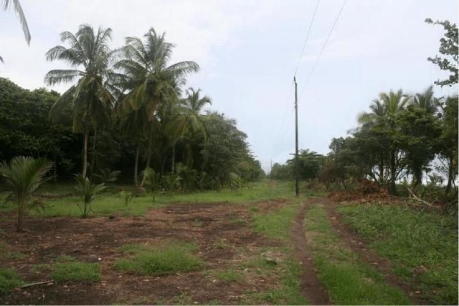 Foto Terreno en Venta en Guapiles, Pococ, Limn - ¢ 460.000.000 - TEV36439 - BienesOnLine