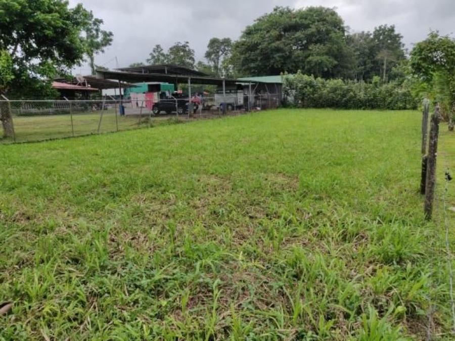 Foto Terreno en Venta en Guapiles, Pococ, Limn - U$D 25.000 - TEV30182 - BienesOnLine