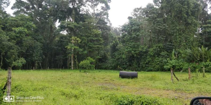 Foto Terreno en Venta en Guapiles, Pococ, Limn - ¢ 17.000.000 - TEV33154 - BienesOnLine