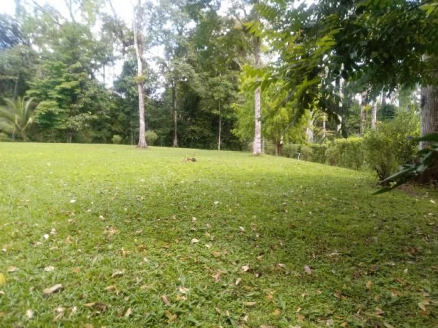 Foto Terreno en Venta en SCLaFortuna, San Carlos, Alajuela - ¢ 115.000.000 - TEV31363 - BienesOnLine