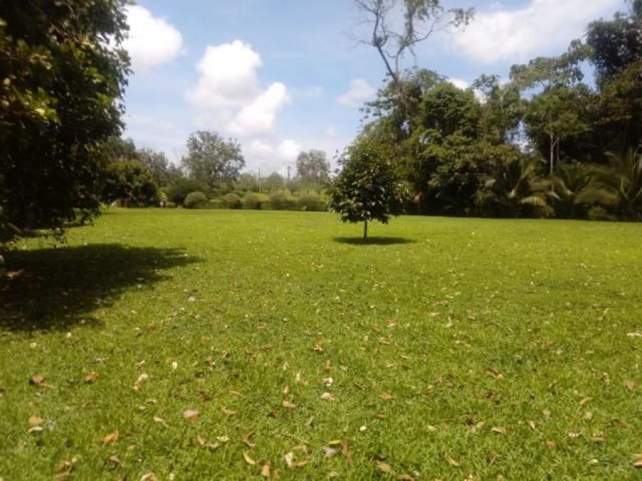 Foto Terreno en Venta en SCLaFortuna, San Carlos, Alajuela - ¢ 120.000.000 - TEV37257 - BienesOnLine