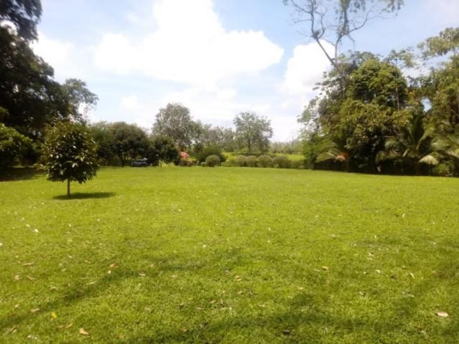 Foto Terreno en Venta en SCLaFortuna, San Carlos, Alajuela - ¢ 114.000.000 - TEV30676 - BienesOnLine