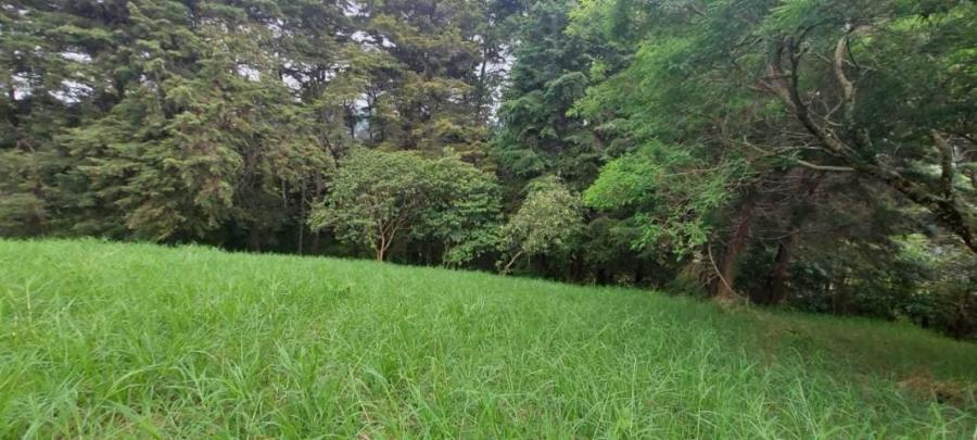 Foto Terreno en Venta en SanRafaelConcepcion., San Rafael, Heredia - ¢ 55.000.000 - TEV34329 - BienesOnLine