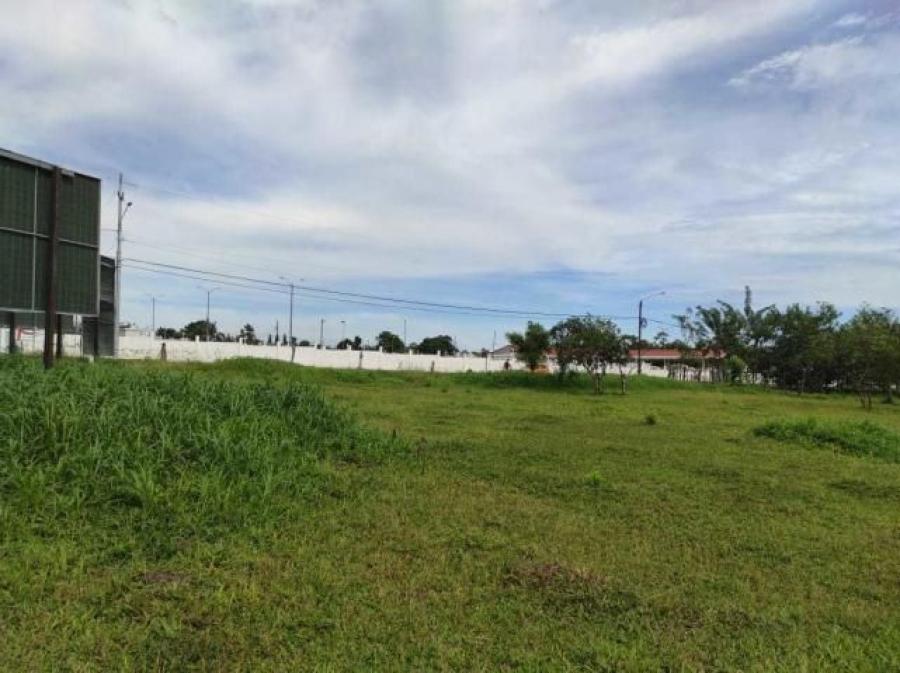 Foto Terreno en Venta en Guapiles, Pococ, Limn - ¢ 400.000.000 - TEV33687 - BienesOnLine