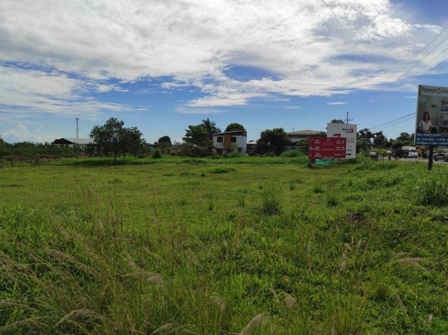 Foto Terreno en Venta en Guapiles, Pococ, Limn - U$D 680.000 - TEV30317 - BienesOnLine