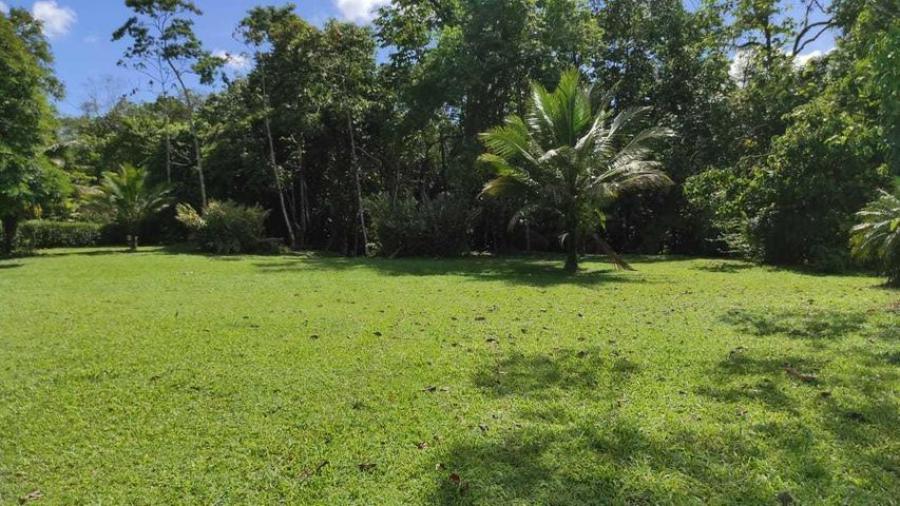 Foto Terreno en Venta en Guapiles, Pococ, Limn - ¢ 60.000.000 - TEV35133 - BienesOnLine