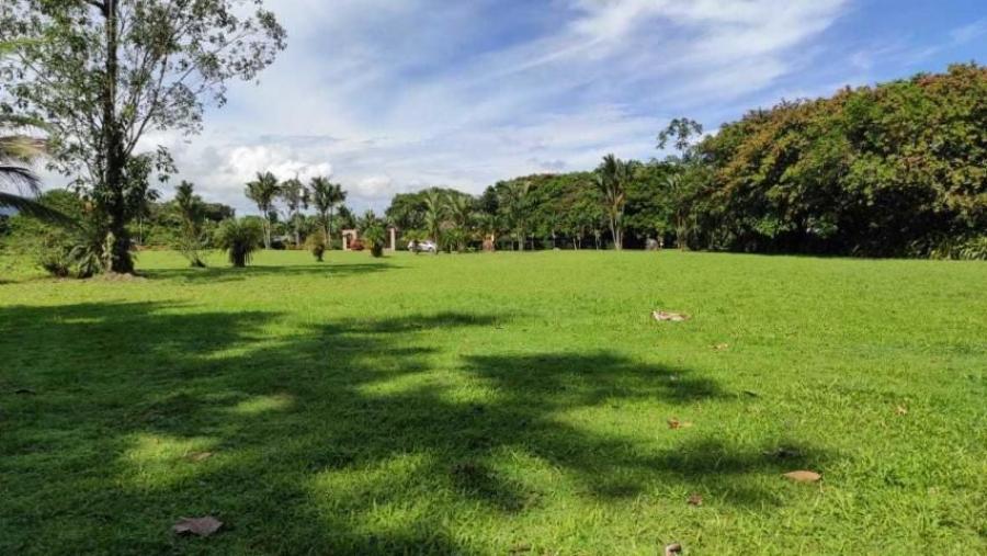 Foto Terreno en Venta en Guapiles, Pococ, Limn - ¢ 60.000.000 - TEV30659 - BienesOnLine