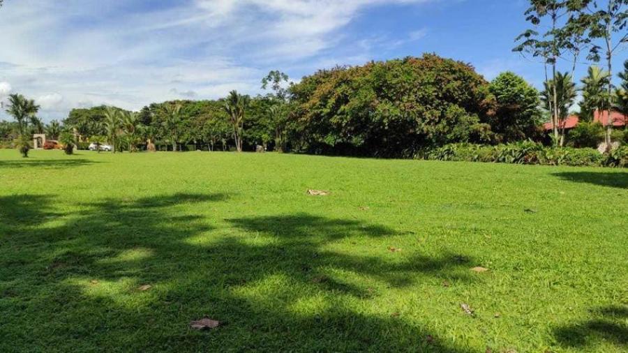 Foto Terreno en Venta en Guapiles, Pococ, Limn - ¢ 60.000.000 - TEV34737 - BienesOnLine