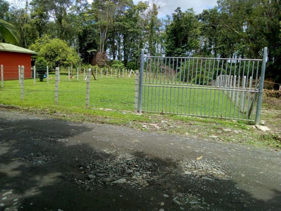 Foto Terreno en Venta en Guapiles, Pococ, Limn - ¢ 8.500.000 - TEV33120 - BienesOnLine