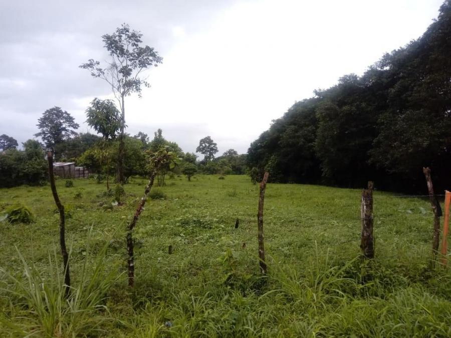 Foto Terreno en Venta en Guapiles, Pococ, Limn - ¢ 12.500.000 - TEV33124 - BienesOnLine