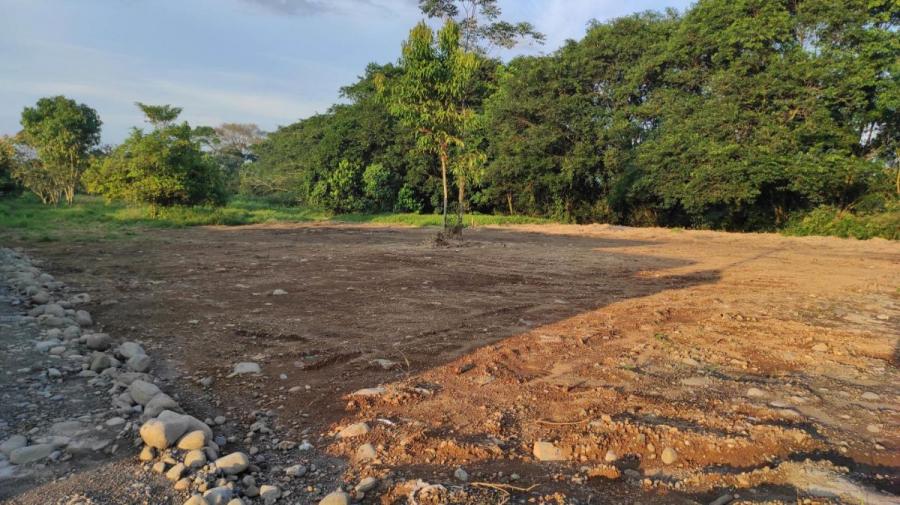 Foto Terreno en Venta en Guapiles, Pococ, Limn - ¢ 11.000.000 - TEV33238 - BienesOnLine