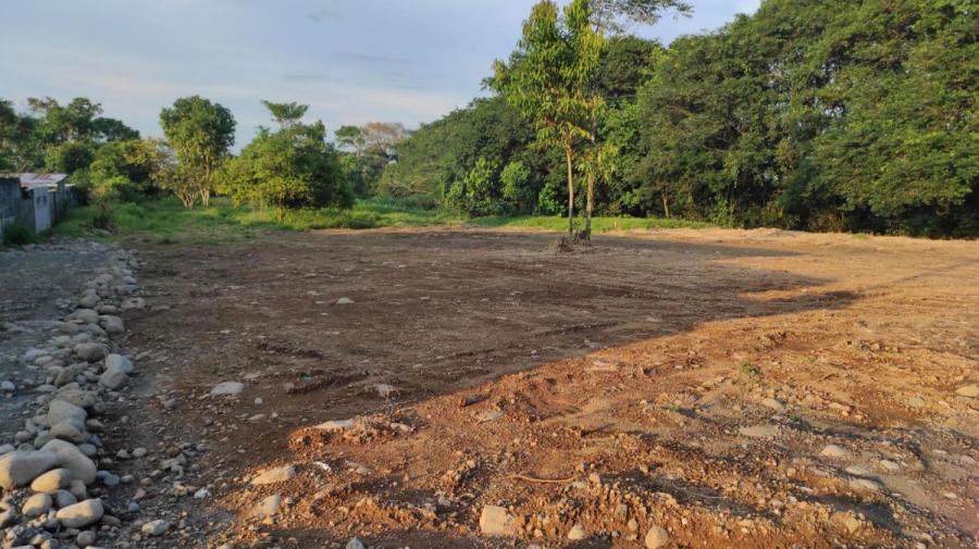 Foto Terreno en Venta en Guapiles, Pococ, Limn - ¢ 11.000.000 - TEV36281 - BienesOnLine