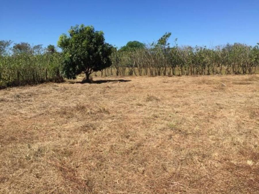 Foto Terreno en Venta en OrotinaOrotina, Orotina, Alajuela - ¢ 13.500.000 - TEV27118 - BienesOnLine