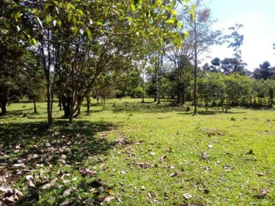 Foto Terreno en Venta en Guapiles, Pococ, Limn - ¢ 380.000.000 - TEV32558 - BienesOnLine