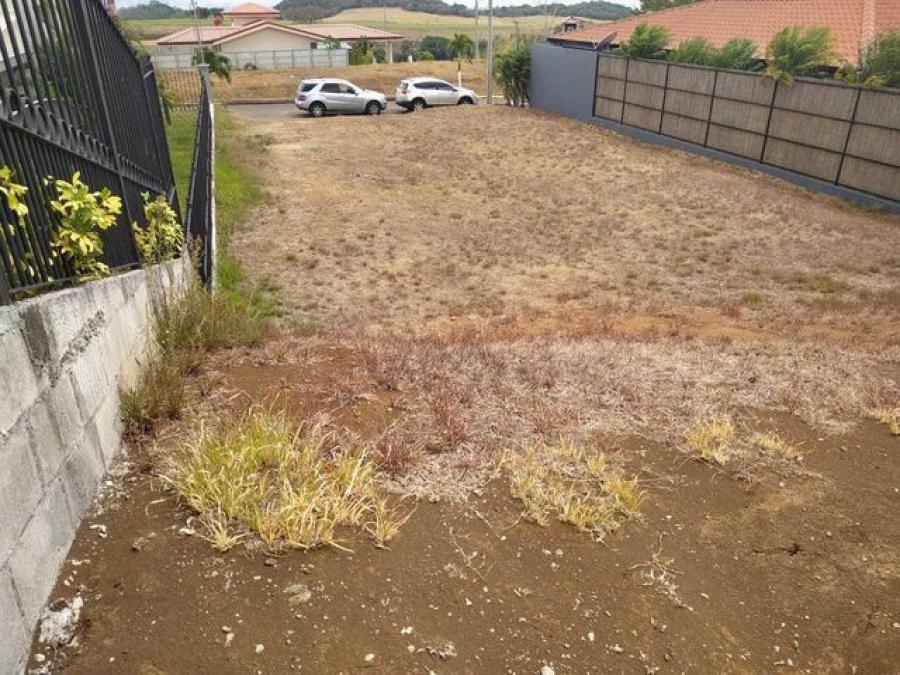 Foto Terreno en Venta en Grecia, Grecia, Alajuela - ¢ 40.000.000 - TEV35154 - BienesOnLine