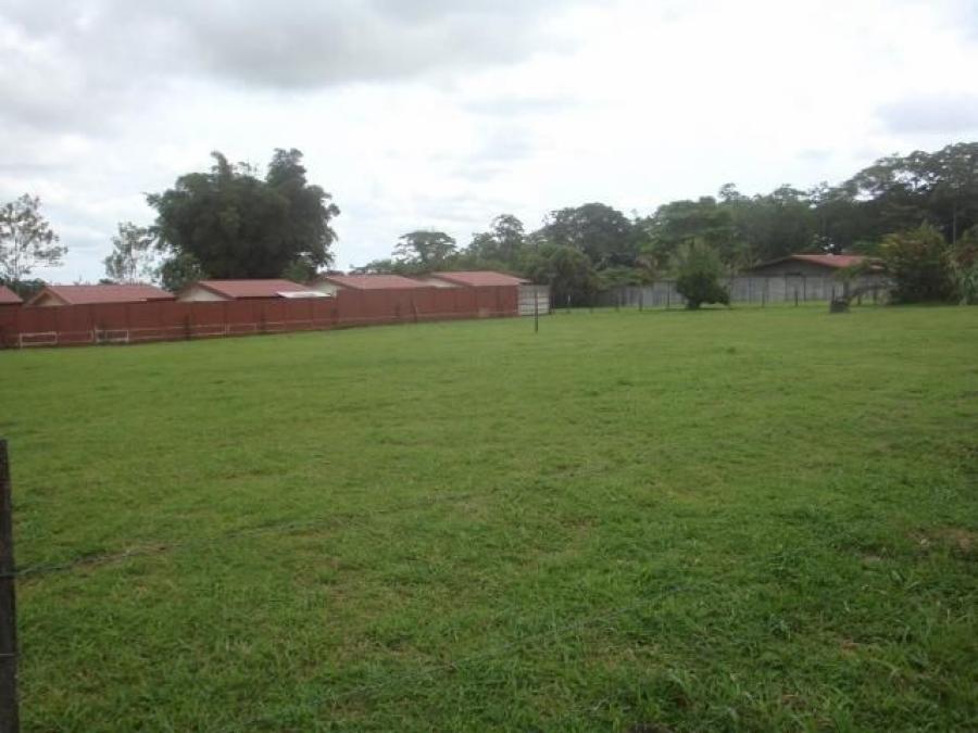 Foto Terreno en Venta en Guapiles, Pococ, Limn - ¢ 4.000.000 - TEV37383 - BienesOnLine