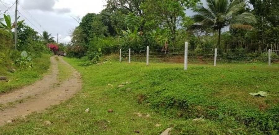 Foto Terreno en Venta en Guapiles, Pococ, Limn - ¢ 4.000.000 - TEV34212 - BienesOnLine