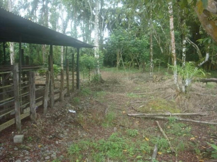 Foto Terreno en Venta en Guapiles, Pococ, Limn - ¢ 99.000.000 - TEV27209 - BienesOnLine