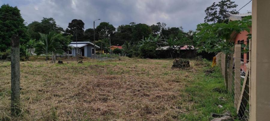 Foto Terreno en Venta en Guapiles, Pococ, Limn - ¢ 21.000.000 - TEV31602 - BienesOnLine