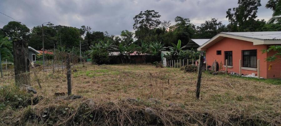 Foto Terreno en Venta en Guapiles, Pococ, Limn - ¢ 21.000.000 - TEV35127 - BienesOnLine